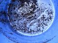 Mash strainer
