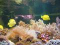 Aquarium