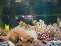 Aquarium