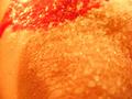 Blood