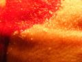 Blood