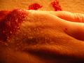 Blood