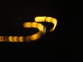 Light-Abstract