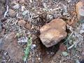 Rock texture