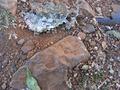 Rock texture