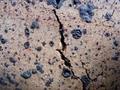 Stone texture