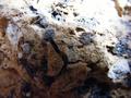 Stone texture