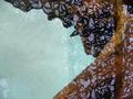 Texture