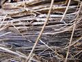 Texture
