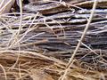 Texture