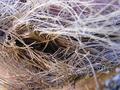Texture