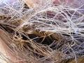 Texture