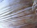 Texture