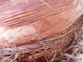 Texture