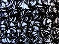 Texture