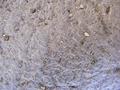 Texture
