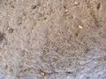 Texture