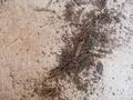 Texture