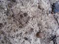 Texture