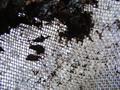 Texture