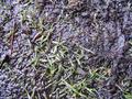 Texture