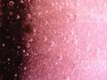 Bubbles