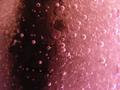Bubbles