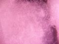 Bubbles