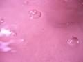 Bubbles