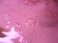 Bubbles