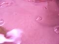 Bubbles