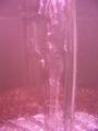 Bubbles