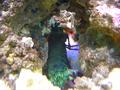 Aquarium