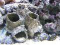 Aquarium
