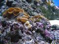 Aquarium