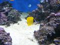 Aquarium
