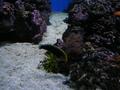 Aquarium