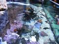 Aquarium