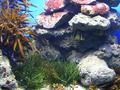 Aquarium