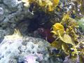 Aquarium