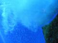 Bubbles