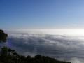 Misty-cloud