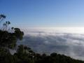 Misty-cloud