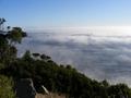 Misty-cloud