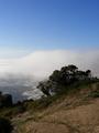 Misty-cloud
