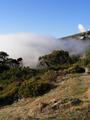 Misty-cloud