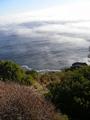 Misty-cloud