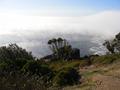 Misty-cloud