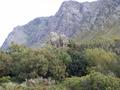 Mountains