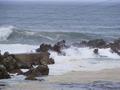 Ocean